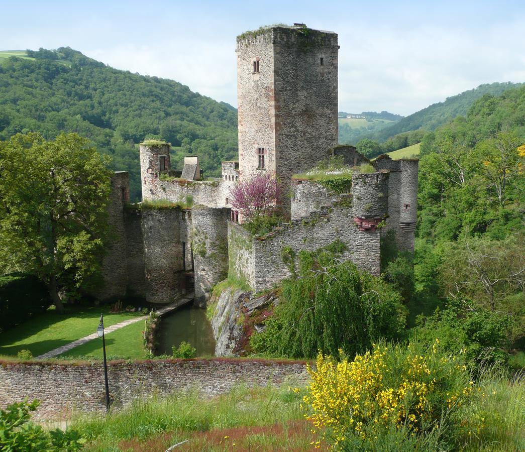 Chambre D'Hotes Au Chateau De Belcastel Zewnętrze zdjęcie